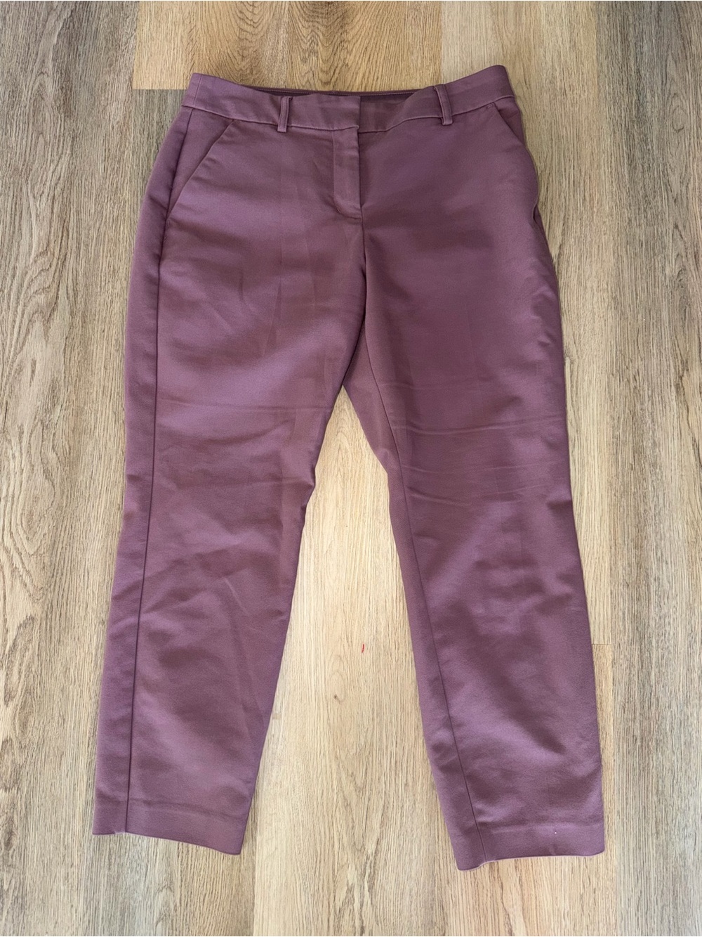 Express Cropped Pants in Plum